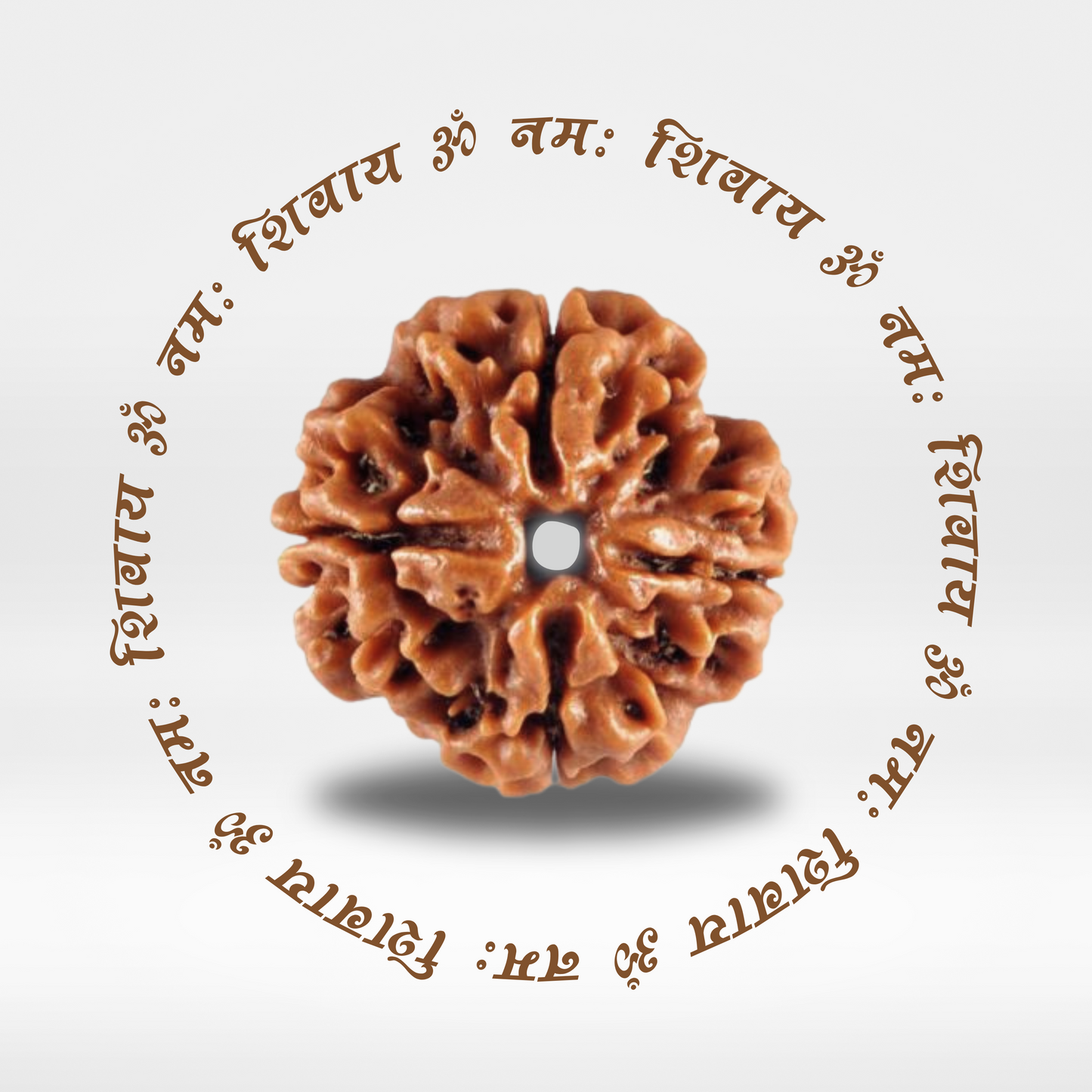 4 Mukhi Rudraksha (Original Nepali Bead)