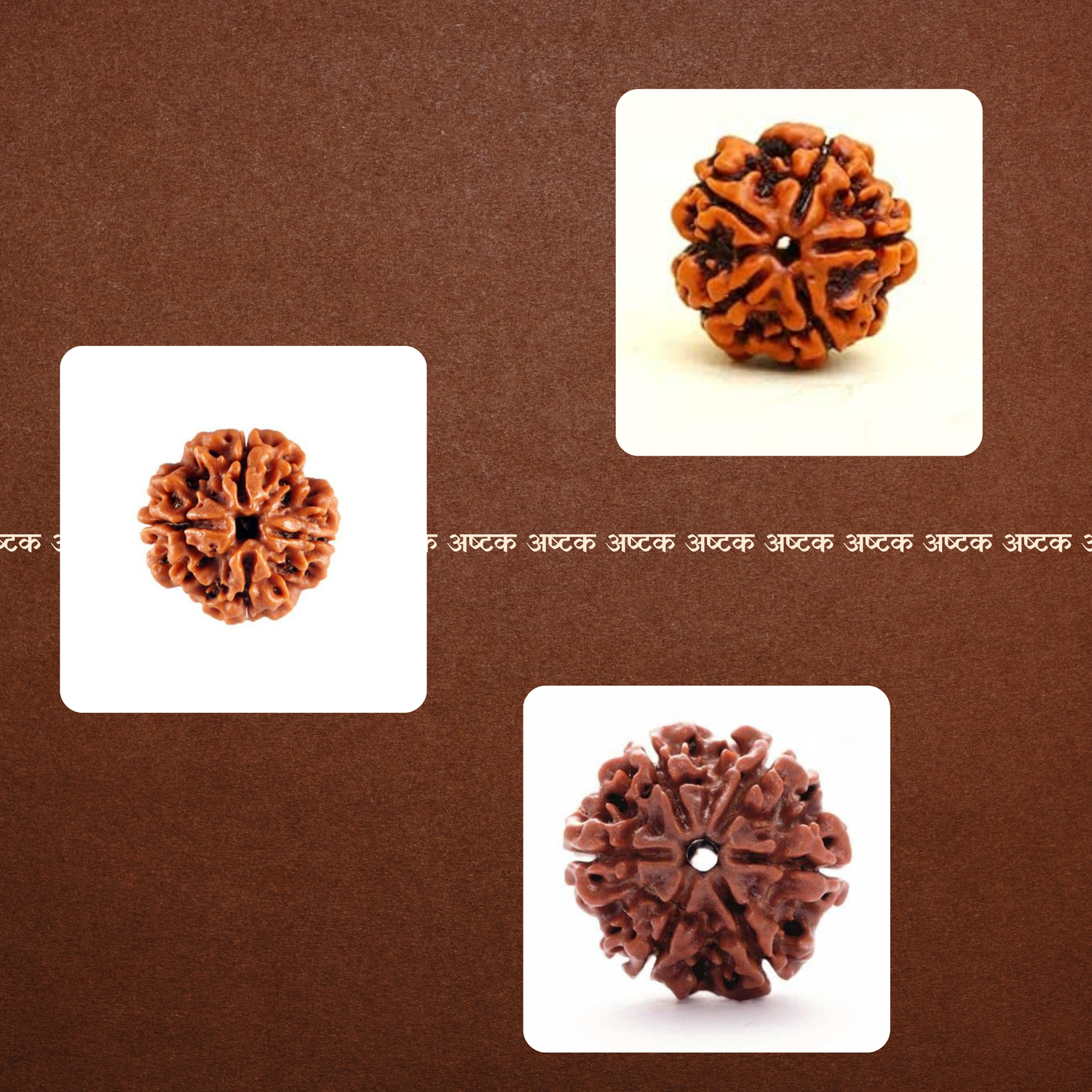 रुद्राक्ष || Rudraksha 📿