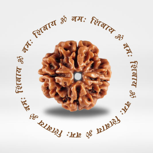 4 Mukhi Rudraksha (Original Nepali Bead)